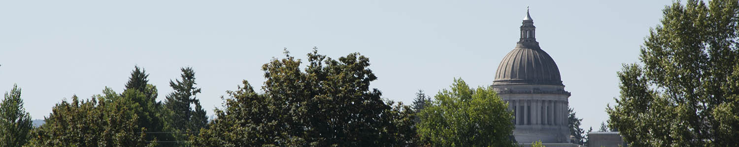 Capitol building dome rises above the trees