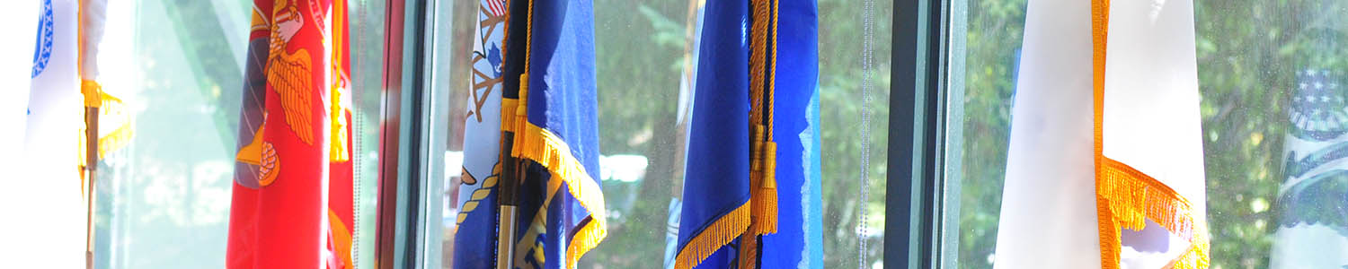 A row of armed forces flags