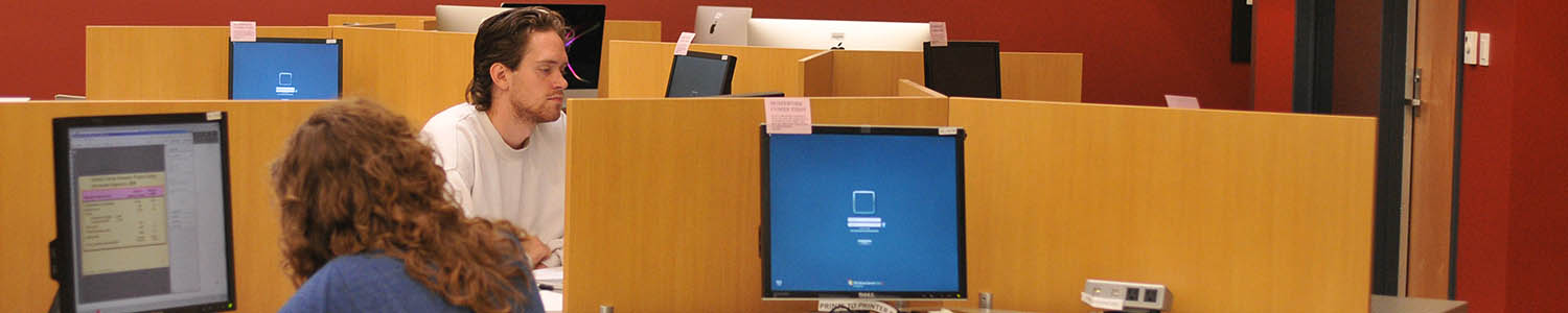 Students working in computer lab